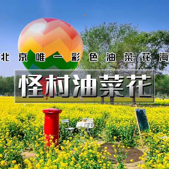 怪村油菜花门票图片