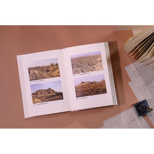 历史的游荡者 商品图2