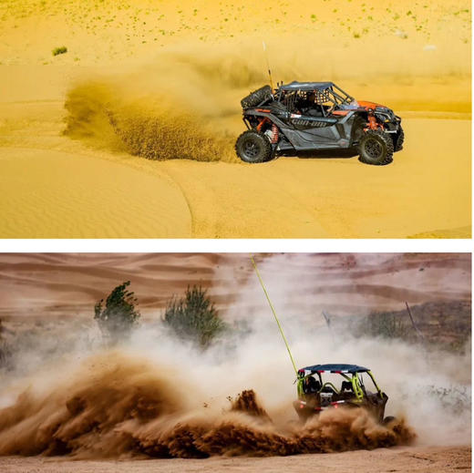 西北｜亲子轻奢沙漠越野＋轻徒步4天3晚，腾格里沙漠/西部影视城/线下版蚂蚁森林，一次玩个够！ 商品图7