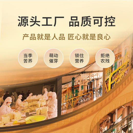 雁门清高 富硒黑苦荞茶礼盒480g节日礼品 商品图3