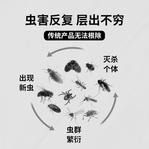 AIRUSH除虫胶饵（自营） | 诱食一虫，速杀全家 商品图1