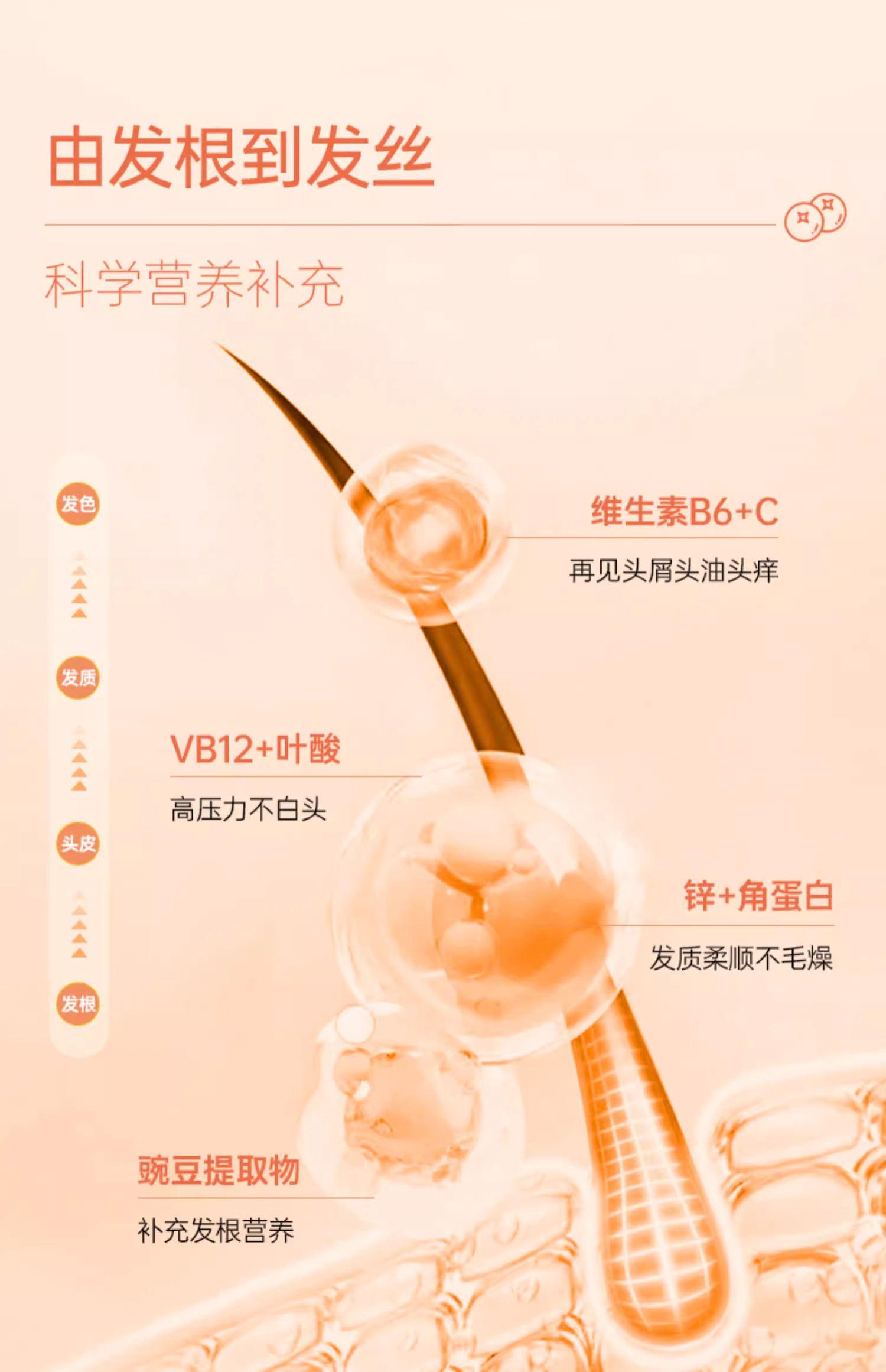 amerivita亚美唯他生物素护发软糖掉发养发biotin维生素b7硅素固发