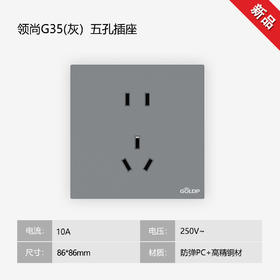 贵派面板 领尚 G35 灰色 五孔