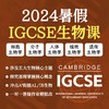 2024年 暑假班 IGCSE生物课（双语授课） 商品缩略图0