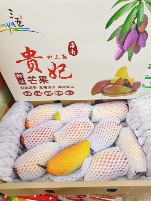 贵妃芒一箱 商品图1