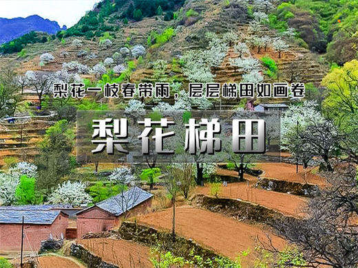 【梨花梯田1日】｜世外桃源茅舍疏篱の谷雨时节赏大山深处梨花村 商品图0