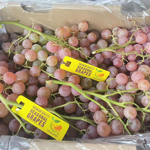 🔥爆品特好吃😋～荔枝香葡萄！[色]自带浓郁的玫瑰花瓣、水蜜桃和荔枝等香味，很香的葡萄🍇特别甜，汁多。最新到货 商品图1