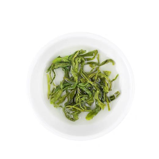 2024新茶 萧氏茶明前新绿 高山云雾绿茶250g XSC 商品图4