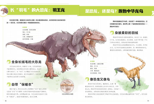 《漫画万物》（全8册） 商品图7