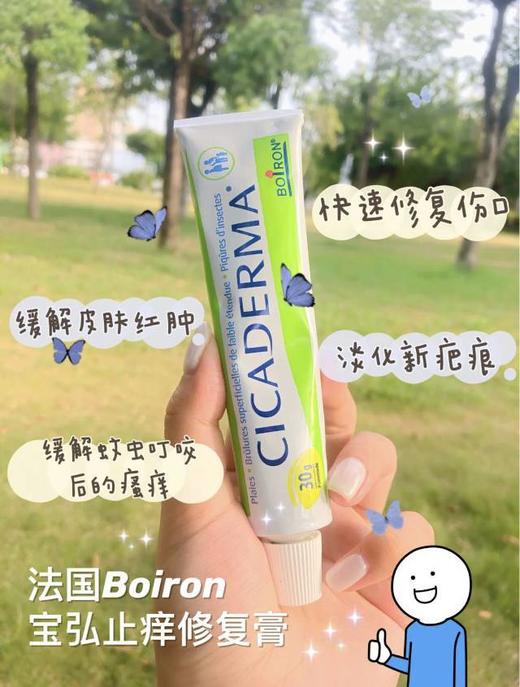 Boiron宝弘金盏花止痒膏婴儿专用儿童蚊虫叮咬消【保税仓】 商品图1