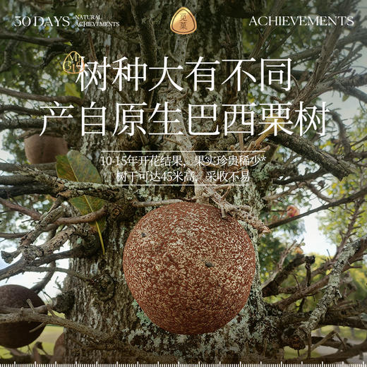 觅菓富硒补硒特大颗粒268g每日原味孕妇罐装巴西坚果硒元素免疫力 商品图4