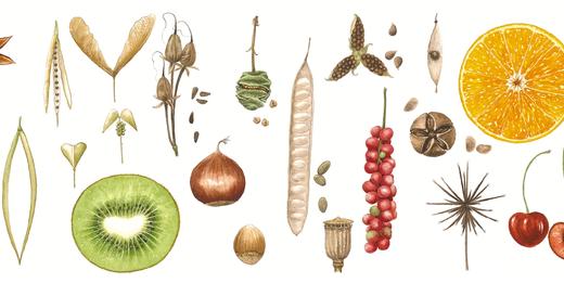 中国博物学评论特辑：回归生活的博物绘 商品图3