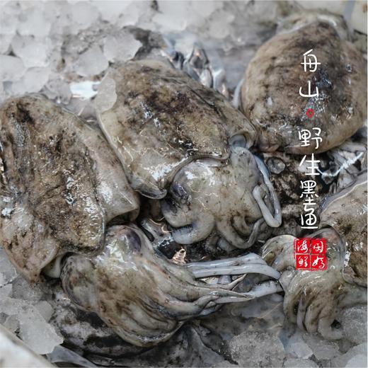【闹妈海鲜】[鲜冻]舟山野生原汁大墨鱼，季节货嫩嫩嫩/各种规格 商品图3