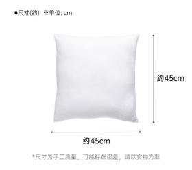 舒柔质感靠垫芯SC100