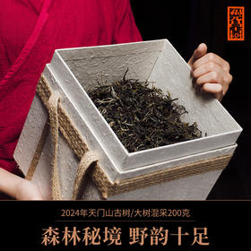 【福元昌古树】2024年天门山古树/大树混采散茶200g盒装