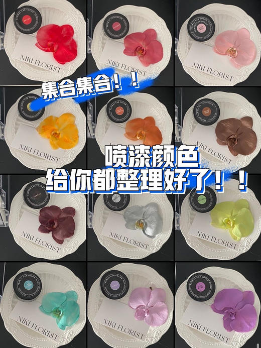 喷漆【现货在售】可利美色彩大师优质鲜花喷漆450ml 吸色剂 商品图0