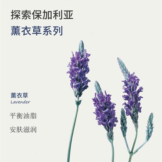 保加利亚有机薰衣草原浆纯露 100ml/瓶 商品图2