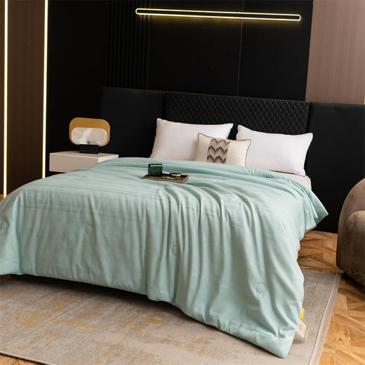 夏季雅致提花桑蚕丝被，轻盈透气，柔软舒适，让你美美哒入眠。 商品图6