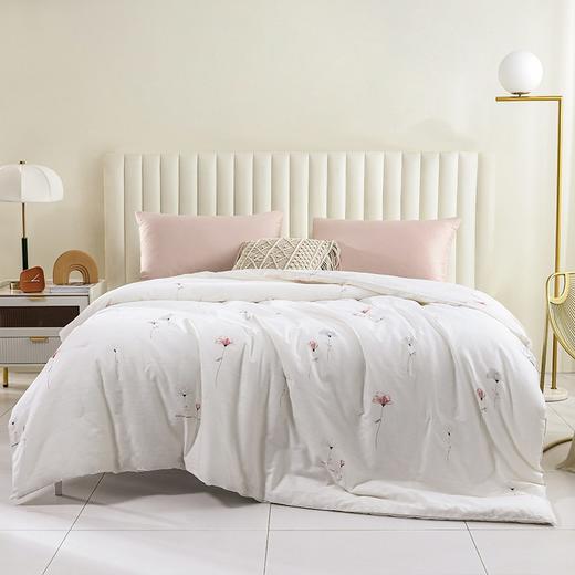  钱皇100%桑蚕丝 虞美人蚕丝被 长丝蚕丝净重1斤(被重3斤) 商品图3