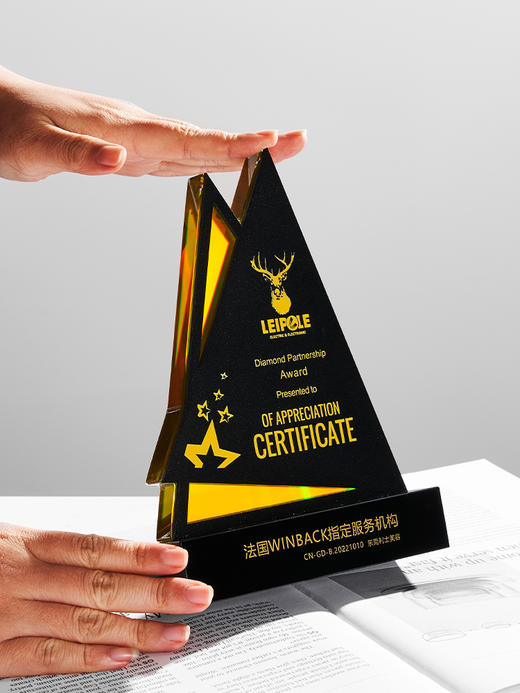 水晶奖杯定制年会新款山峰炫彩多色金属奖牌订制经销商授权牌定做 商品图1