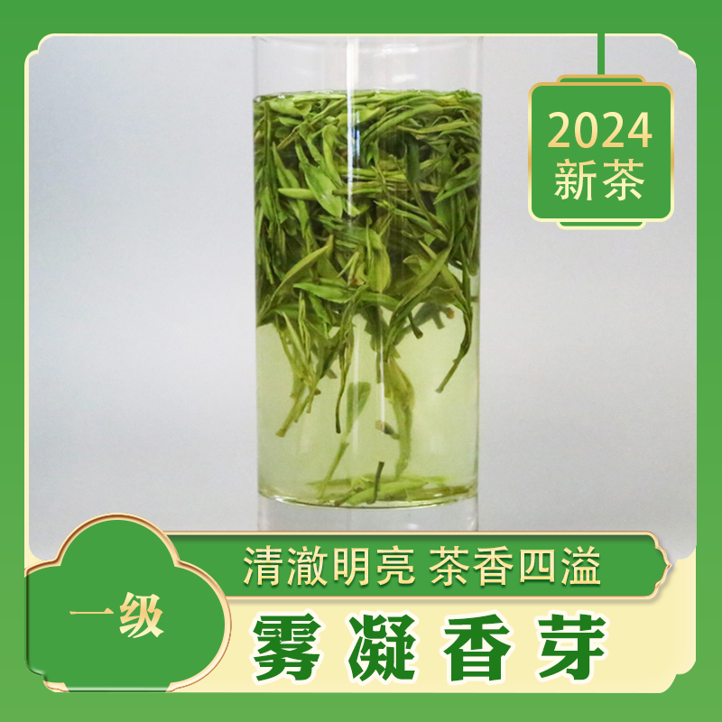 2024新茶 一级 【雾凝香芽】 滋味醇甘 香气如兰 250g