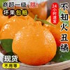 【不知火丑橘】四川不知火丑橘！新鲜5斤应当季大果！鲜甜嫩爽！一口爱！-SPXPDC0403 商品缩略图1