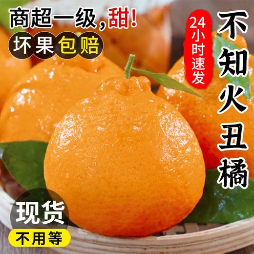 【不知火丑橘】四川不知火丑橘！新鲜5斤应当季大果！鲜甜嫩爽！一口爱！-SPXPDC0403 商品图1