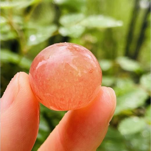 智利空运粉色荔枝香提子|智利空运荔枝香提子，果冻口感超甜嫩，无籽一口爆汁，难怪这么抢手~ 商品图1