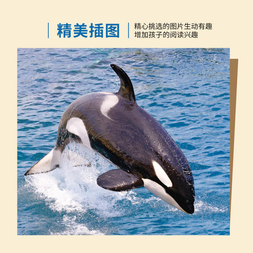 新《中国少年儿童百科全书》全6册 珍藏版 商品图4