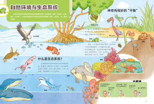 《漫画万物》（全8册） 商品图8