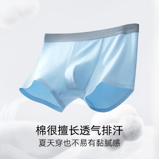 （合作款）幸棉男士桑蚕丝棉质内裤 商品图1