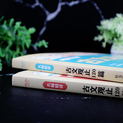 名师精讲古文观止120篇上下全2册初中小学生必背古诗文文言文课外语文知识读物落实素养学教一体文化经典精选重编全批新解对译补注 商品图3