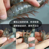 【厄瓜多尔白虾】 来自白虾王国厄瓜多尔 鲜活捕捞锁鲜 肉质鲜甜 原汁原味 商品缩略图2