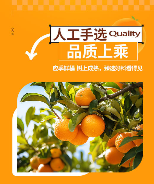 DOLE都乐糖水型橘子\黄桃双拼罐头312g/罐   5罐装 6罐装  双拼 商品图2