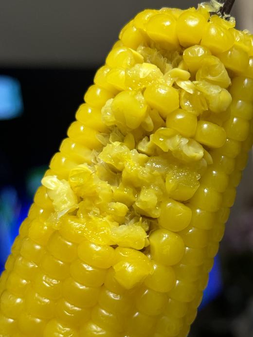 新玉米上市！内蒙有机黄糯玉米！粒粒饱满，甜糯软，老人孩子都喜欢！SGS601项农残检测✅3小时锁鲜 ，非转基因，可微波 ，可蒸煮 ，约180g/根 尽 商品图0