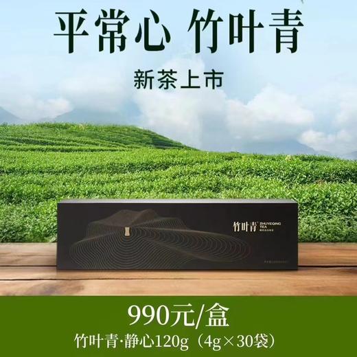 【竹叶青】静心120g 商品图0