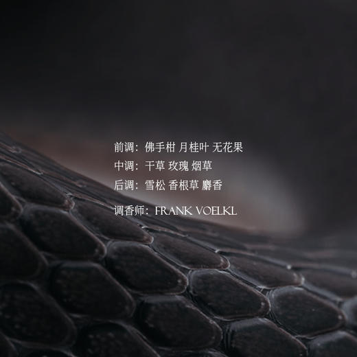 美杜莎之筏 商品图1