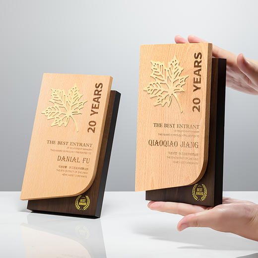 【新款首发】创意实木奖杯高档奖牌定制定做授权颁奖纪念奖座刻字 商品图0