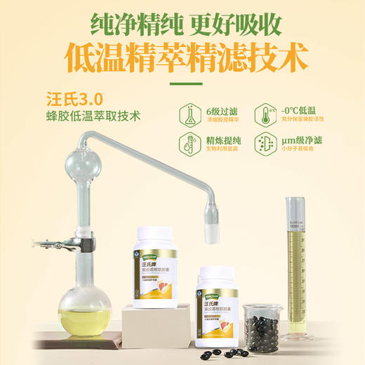 汪氏牌蜂胶葛根软胶囊60g 商品图3