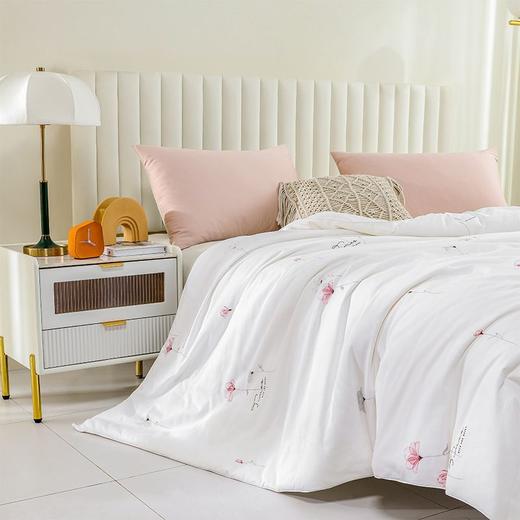  钱皇100%桑蚕丝 虞美人蚕丝被 长丝蚕丝净重1斤(被重3斤) 商品图4