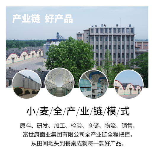 富世康1kg水饺粉 小麦粉面条水饺包子馒头家用面粉 商品图1