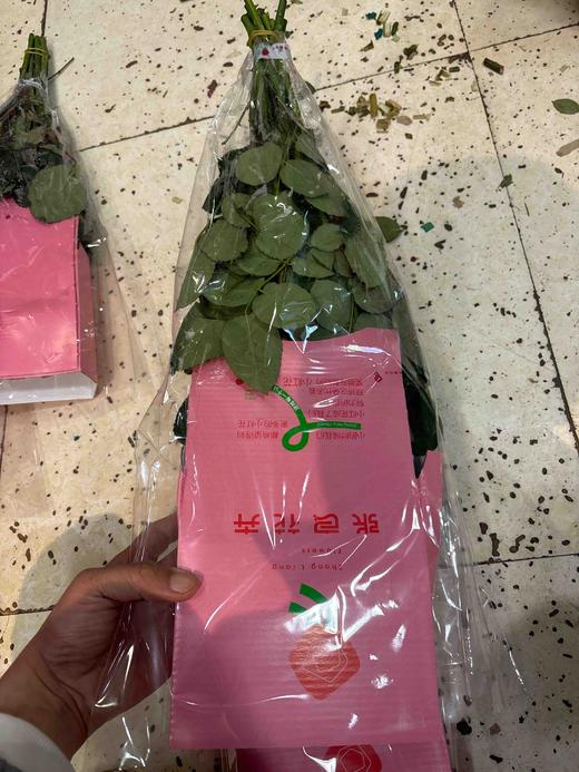 张良卡布其诺 商品图2