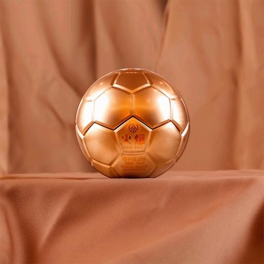 【赠国鼎青云直上500ml】宜宾五粮液仙林生态 火爆金球 52度浓香型白酒 500ml 商品图3