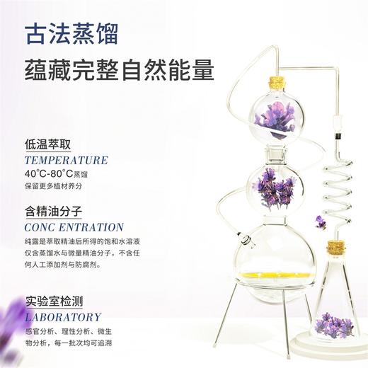 保加利亚有机薰衣草原浆纯露 100ml/瓶 商品图4