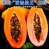 【爆甜冰糖木瓜】清甜爽口！皮薄肉厚！爆甜多汁！新鲜采摘！软糯香甜！-SPXPDC0404 商品缩略图1