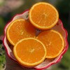 【稊归伦晚脐橙】 挂树时间最长的帝王橙 果香浓郁、汁多肉嫩、香甜可口 商品缩略图1