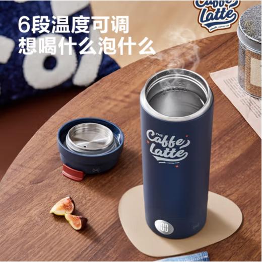 苏泊尔（SUPOR）便携式烧水杯家用旅行电热杯 316不锈钢 旅行冲奶办公室养生 SW-03T01E 摩登红 商品图2