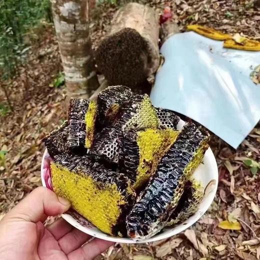 【糖膏精选】云南黑蜂蜜 含有紫色花青素的蜂蜜 海拔1800米野生米团花粉 一年只有一月酿造 活性远高于普通蜂蜜 商品图3
