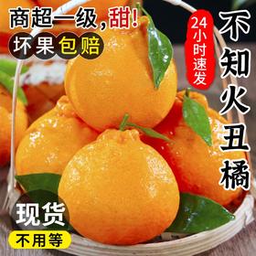 【不知火丑橘】四川不知火丑橘！新鲜5斤应当季大果！鲜甜嫩爽！一口爱！-SPXPDC0403