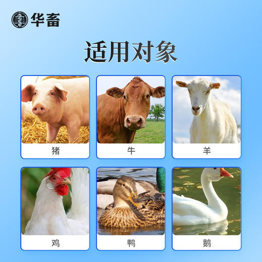 【10袋起】华畜解僵灵易消化不拉稀增强抵抗力 商品图3